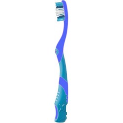 Toothbrush Manual Del Fan Of Naples Color Blue